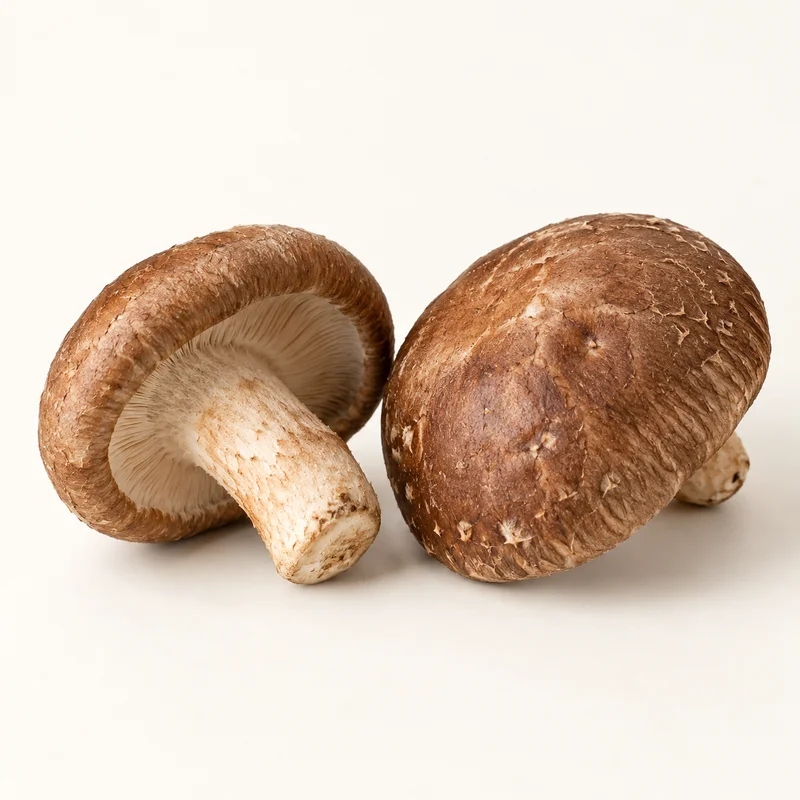 Shiitake